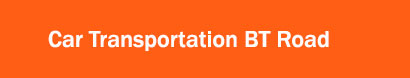 Car Transportation  BT Road